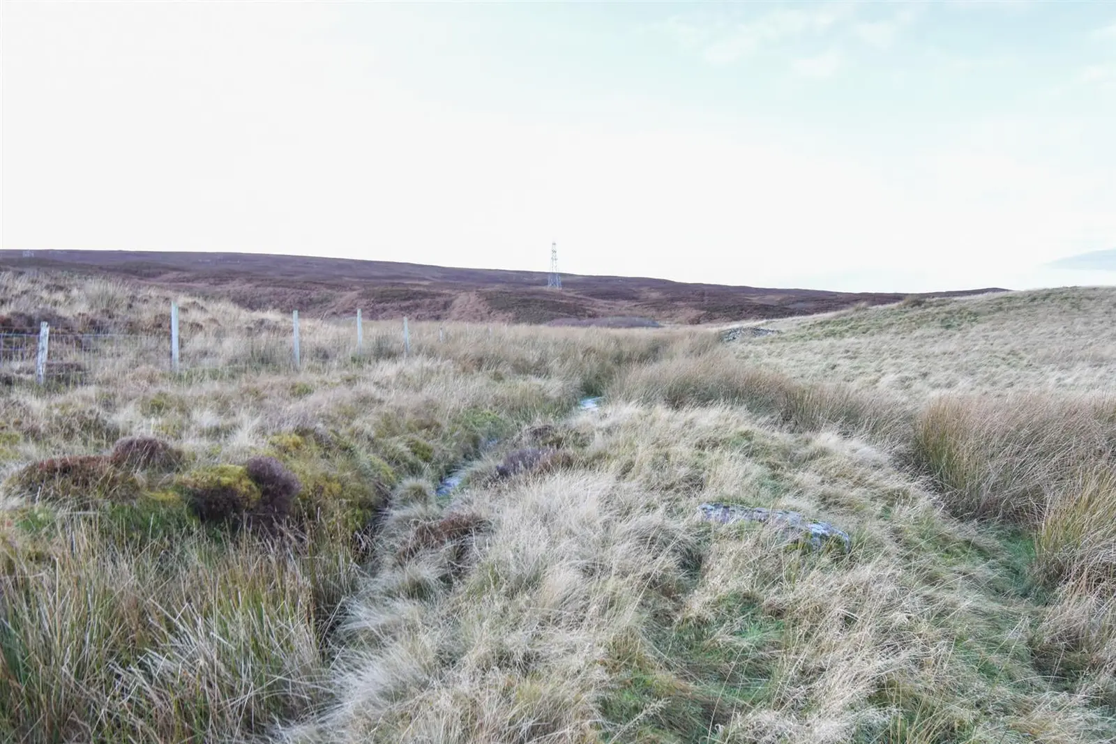 Borgue, Berriedale, KW7 6HA