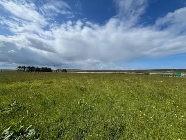 Brough, Thurso, Highland. KW14 8YE