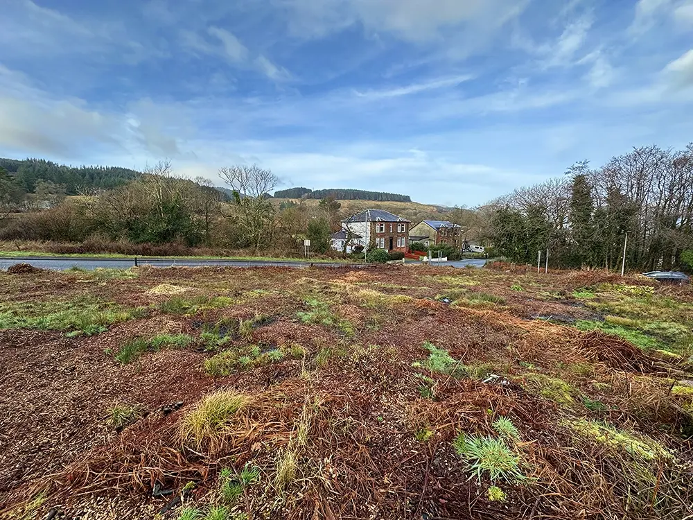 Robertson Terrace Plots, Robertson Terrace, Sandbank