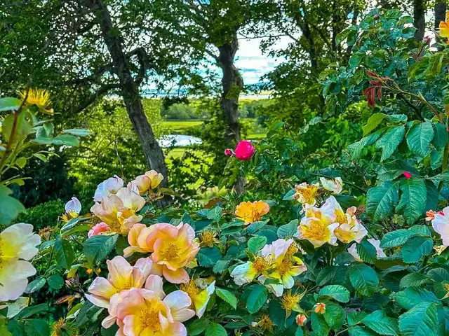 Tigh Na Machair, Dornoch, Sutherland IV25 3RW