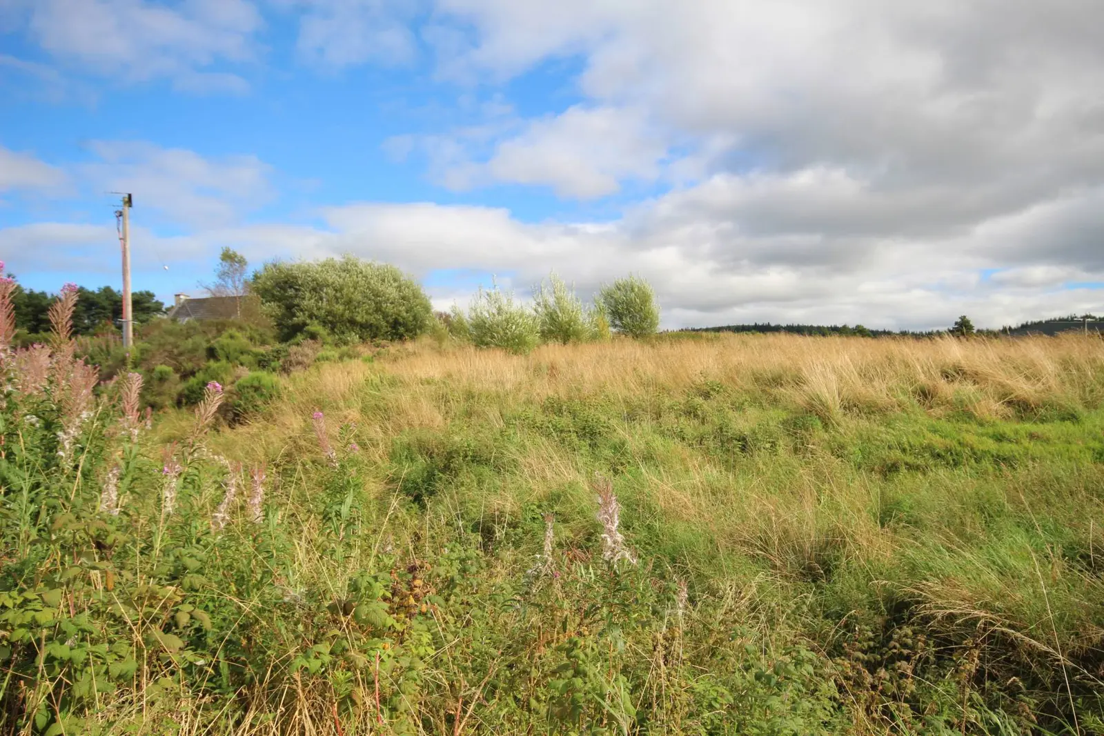 Plot 2 Mossend, Mulben