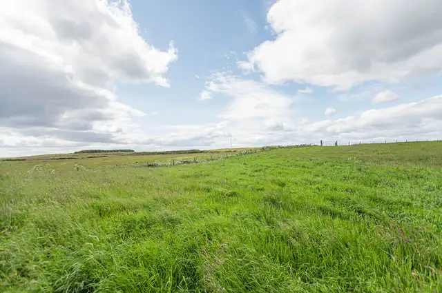 Hempriggs, Wick, Highland. KW1 5TP