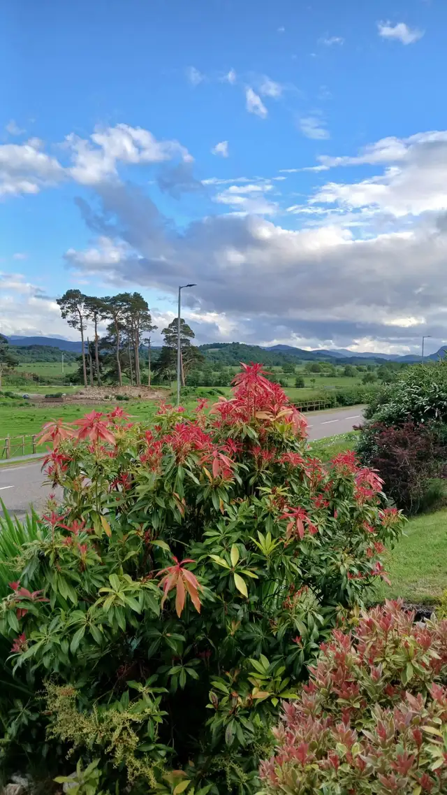 Camusfearna, Newtonmore Road, Kingussie