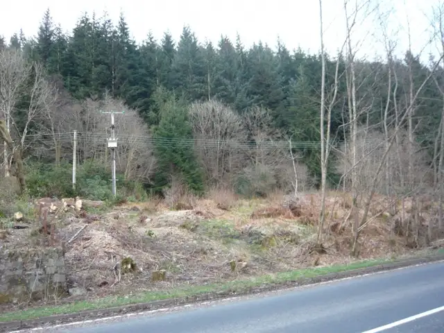 Plot Innerghlinnie Shore Road, Kilmun, PA23 8SE