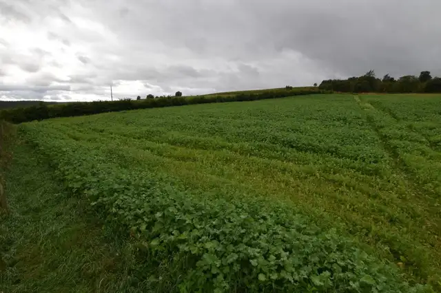 Site at Mill Of Towie, Keith, AB55 5HX