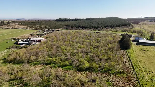 Woodland at Broadmuir, Hill of Fisherie, Turriff, AB53 5QL