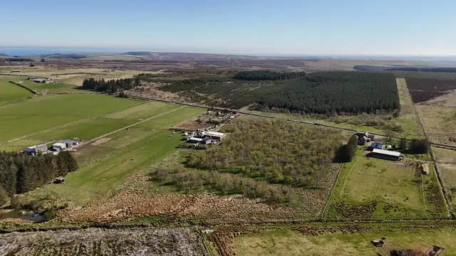 Woodland at Broadmuir, Hill of Fisherie, Turriff, AB53 5QL