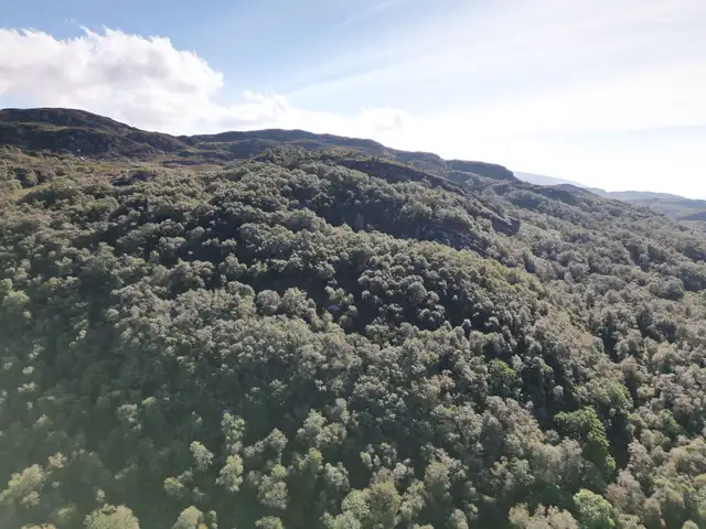 Colintraive,PA22 3AH