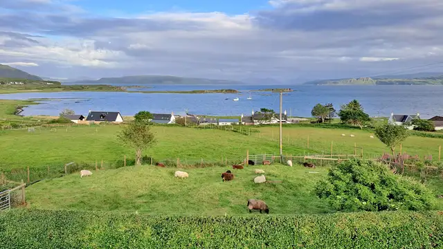 View