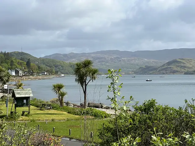 View