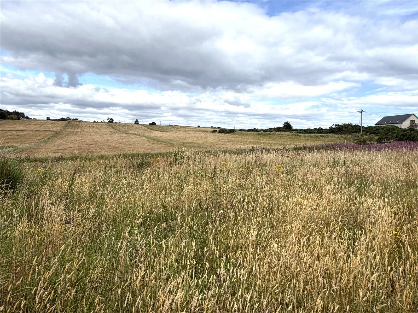 Plot 3 Achinchanter, Embo, IV25 3QP