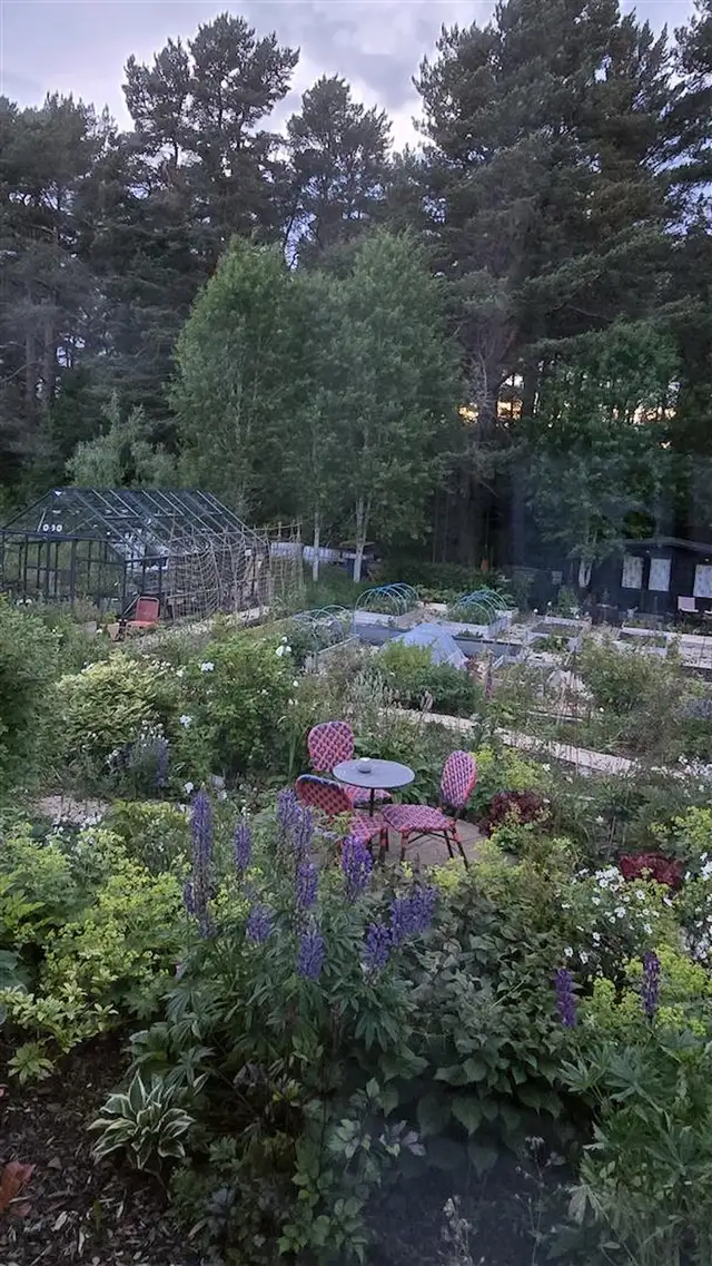 Garden