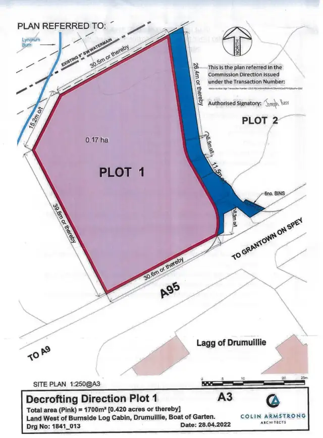 Eucalypt (Plot), Drumuillie Plot, Boat of Garten, **Reduced Price**