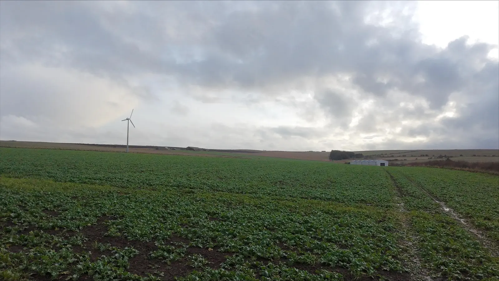 Land at Longlands Croft, Gamrie, AB45 3HT