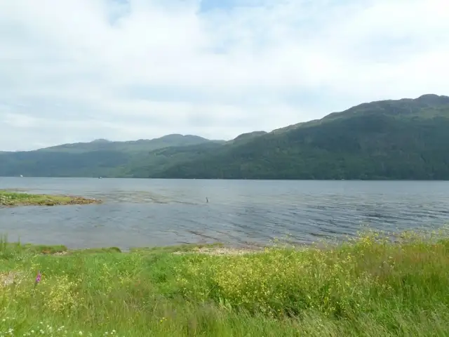 View