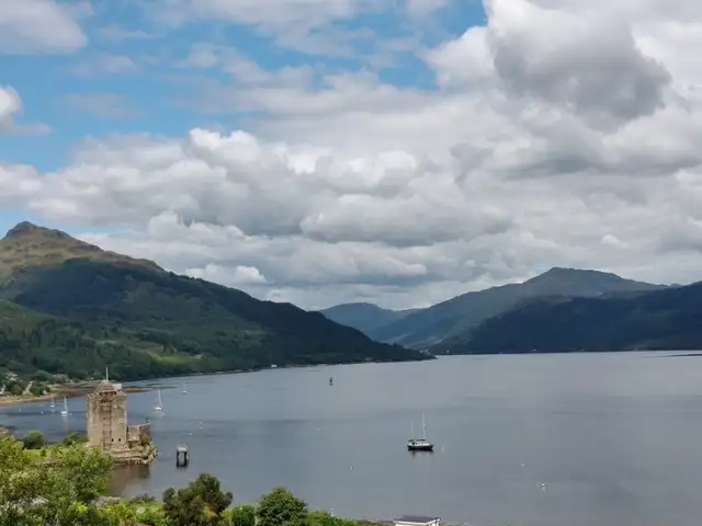 View
