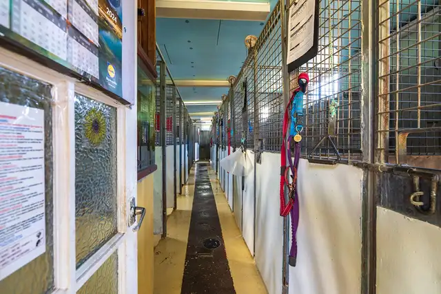 Hall