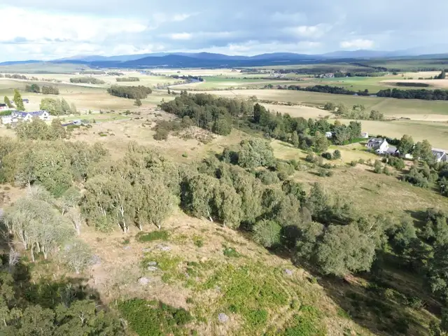 Lynchurn Woodland, Boat of Garten  **Reduced Price**