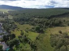 Lynchurn Woodland, Boat of Garten  **Reduced Price**