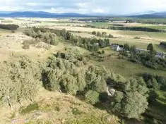 Lynchurn Woodland, Boat of Garten  **Reduced Price**