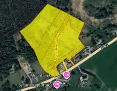 Lynchurn Woodland, Boat of Garten  **Reduced Price**