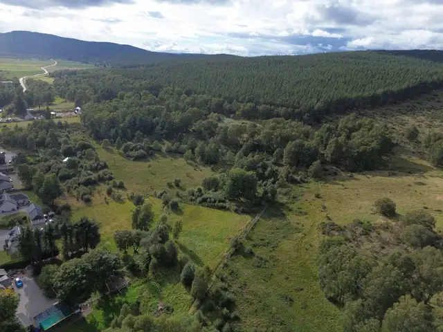 Lynchurn Woodland, Boat of Garten  **Reduced Price**