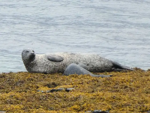 Sea Cottage, Lower Harrapool, Broadford, Isle of Skye, IV49 9AQ
