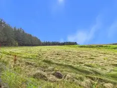 Cormuir, Glenlivet, Ballindalloch