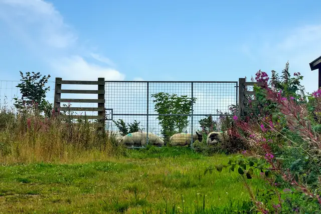 Land & Building at Greystone, Oldmeldrum, AB51 0BN
