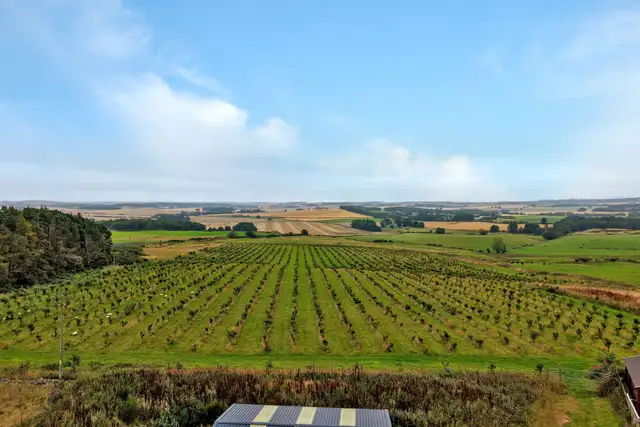 Land & Building at Greystone, Oldmeldrum, AB51 0BN
