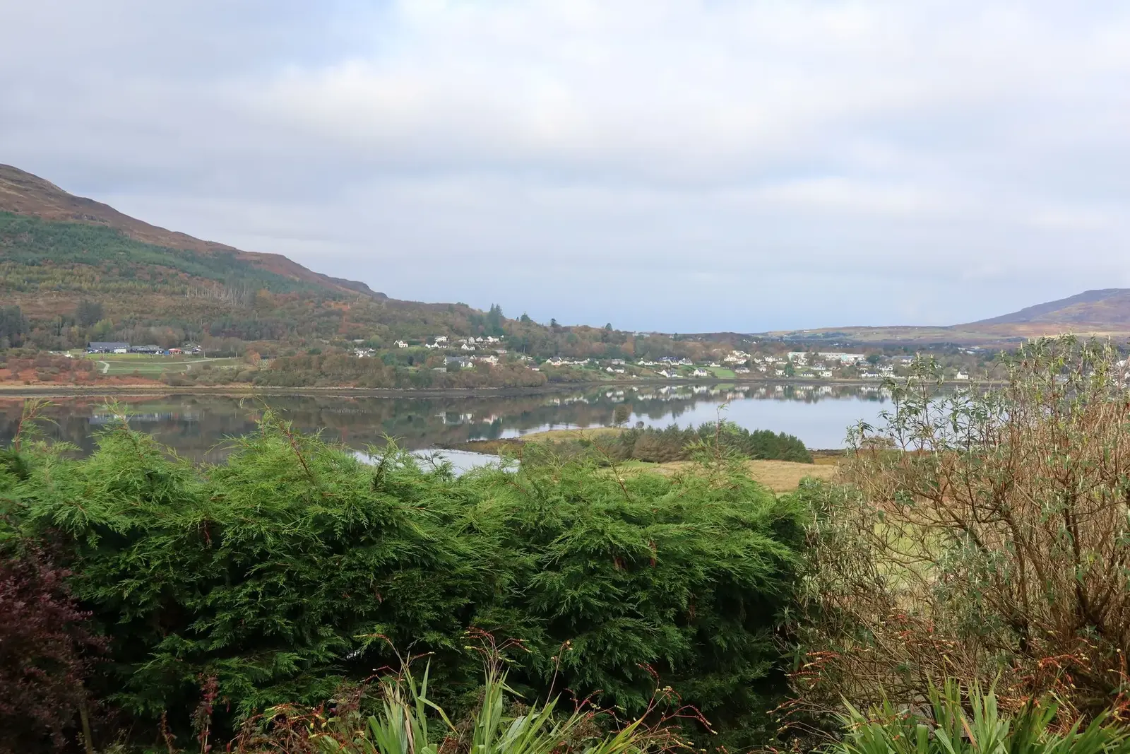 View