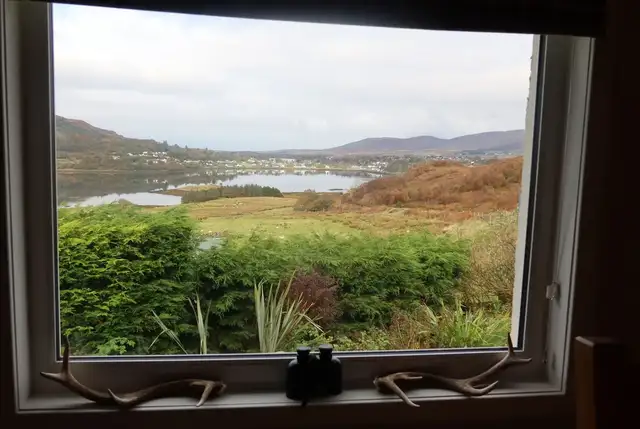 View