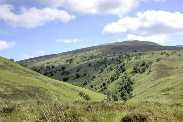 Glen Buck Estate, Aberchalder, Invergarry, Highland, PH35 4HN