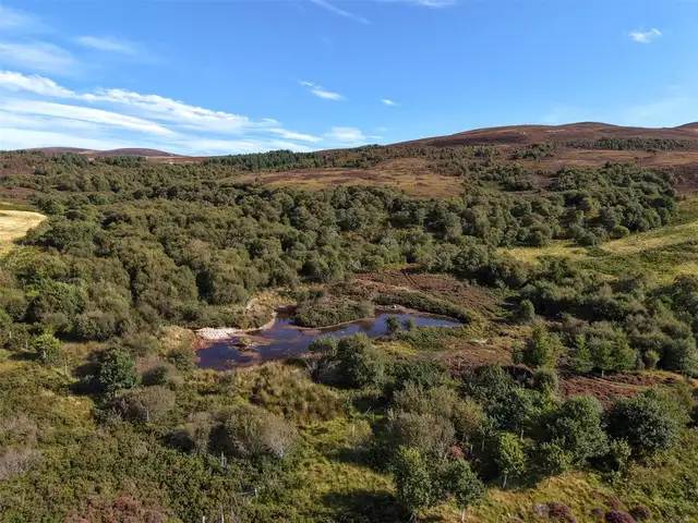Morvich Estate, Rogart, Sutherland, IV28 3XB