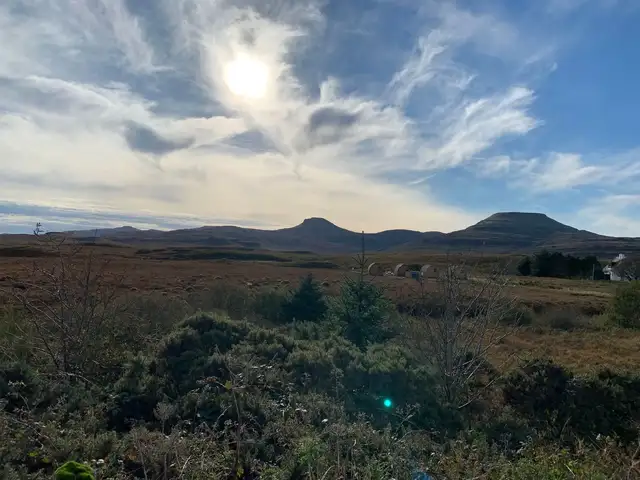 View