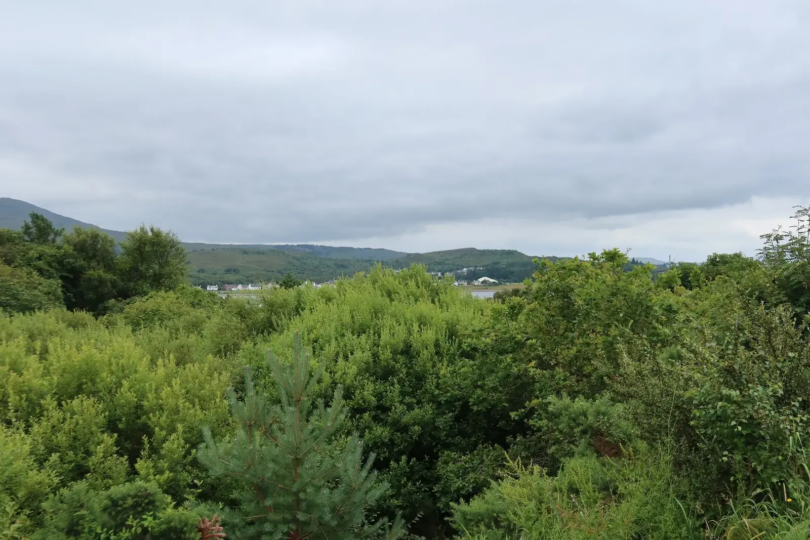 View