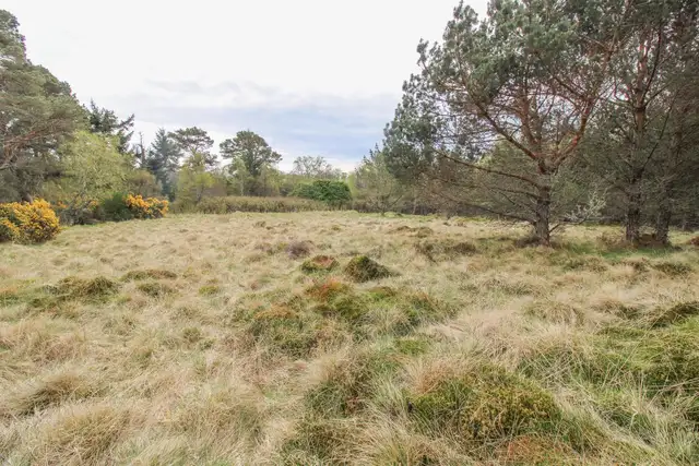 Backies, Golspie, Sutherland, KW10 6SE
