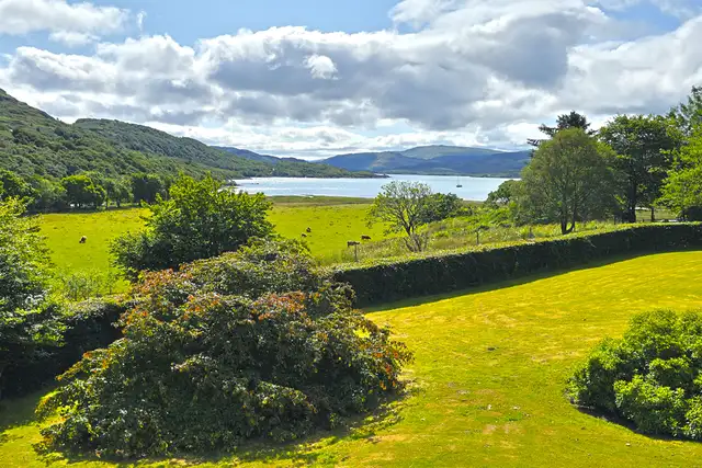 View