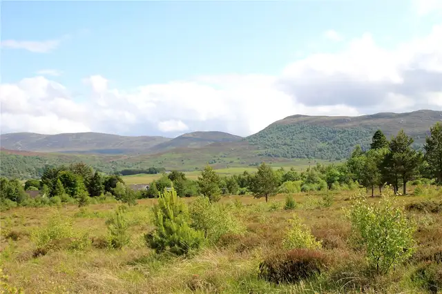 Easter Muirnich Plot & Croftland, Gorthleck, IV2 6YP