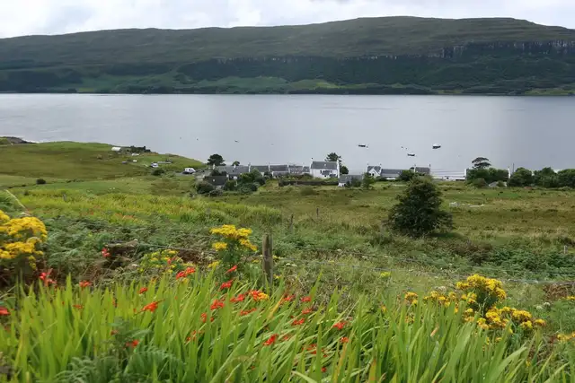View