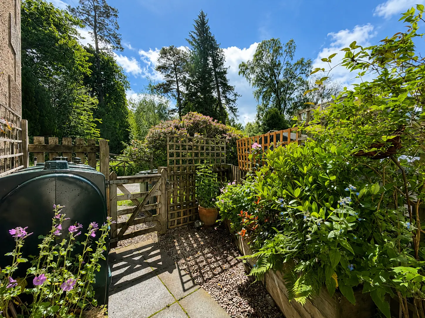 Garden