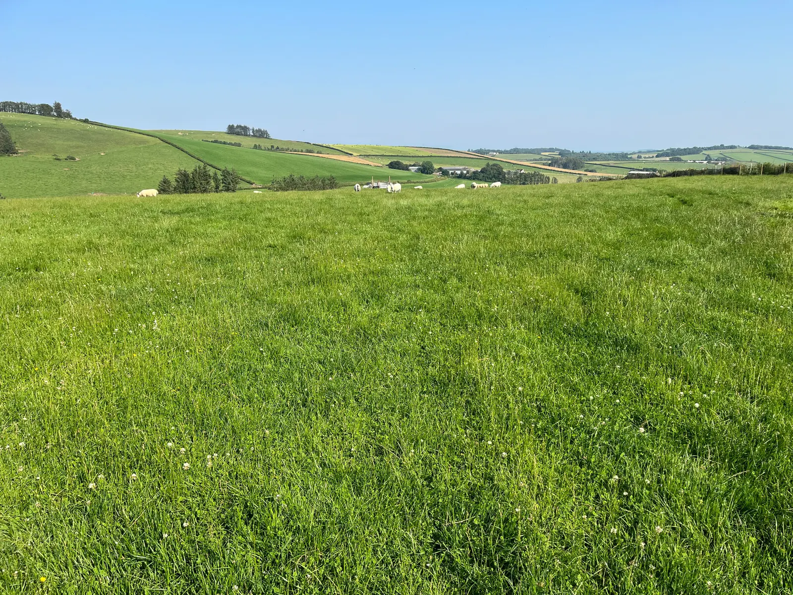 Land & Building at Easter Corskie, Aberchirder, Huntly, AB54 7UA