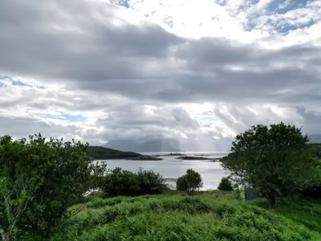 View